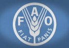 One Health Specialist (FAO)