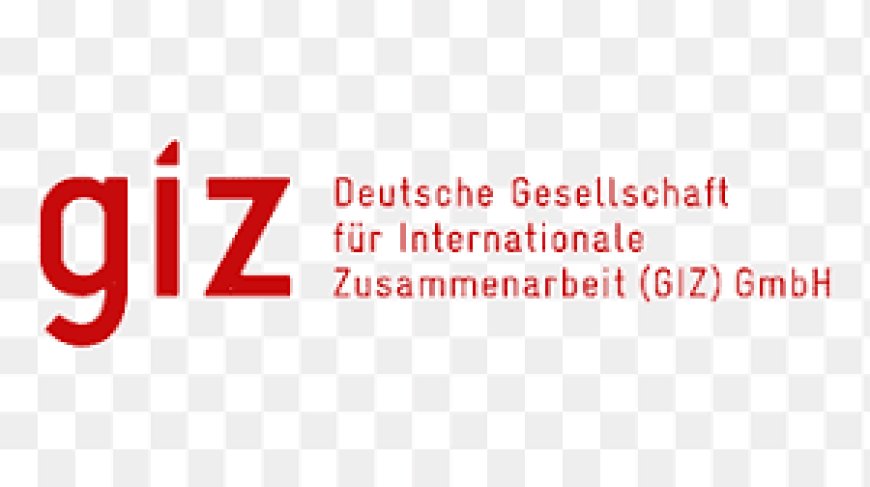 Junior Private Sector Advisor
