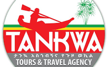 IT and Travel Ticket Sales