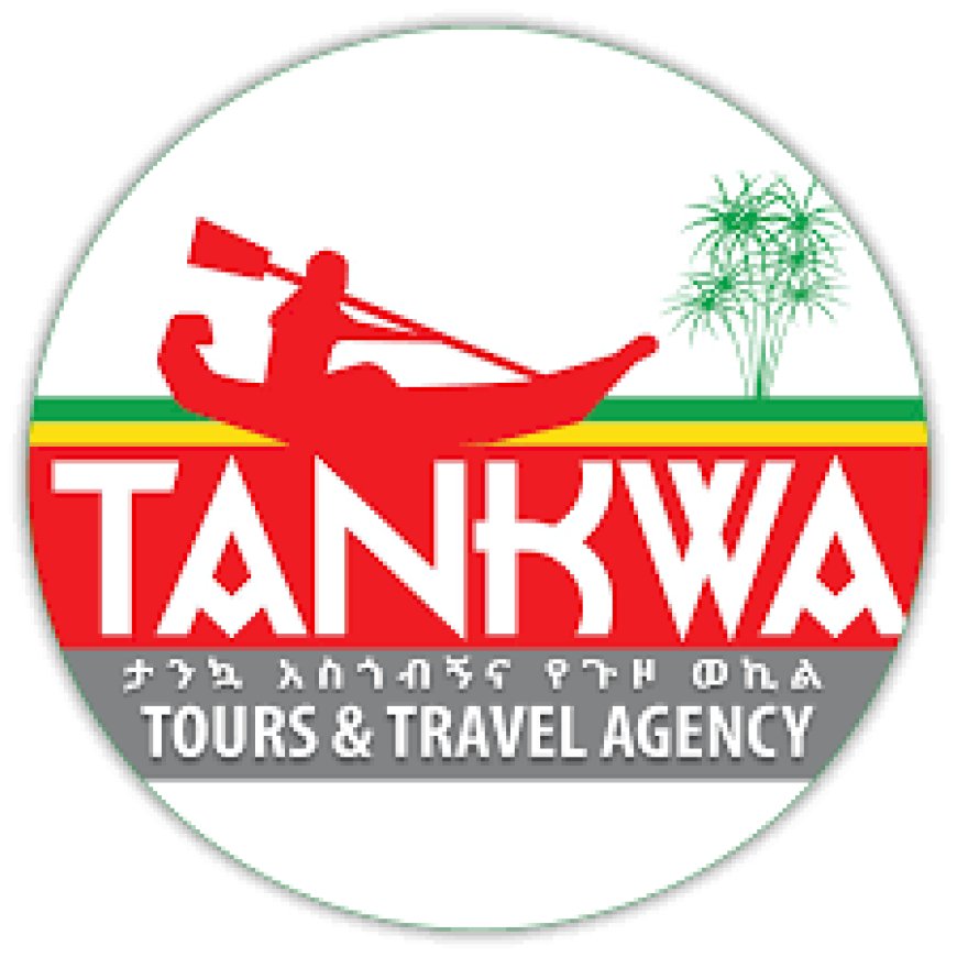 IT and Travel Ticket Sales