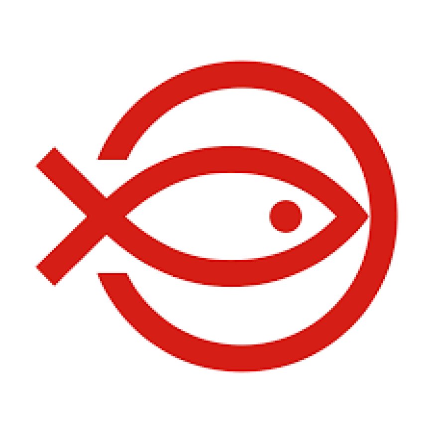 Finance Assistant – Intern (Female)