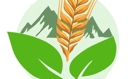 Marketing Manager (Chilalo Food)