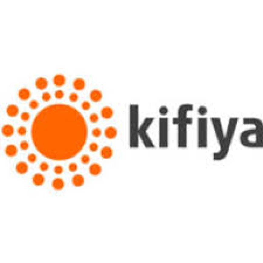 Financial and Credit Risk Analyst